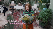 小s和小姐姐的花店,绽放美好，传递情感