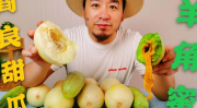 网红小鱼吃瓜,揭秘娱乐圈幕后真相
