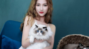 豆瓣小姐姐养猫,温馨治愈的喵星人陪伴